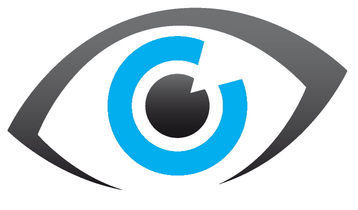 VISION
